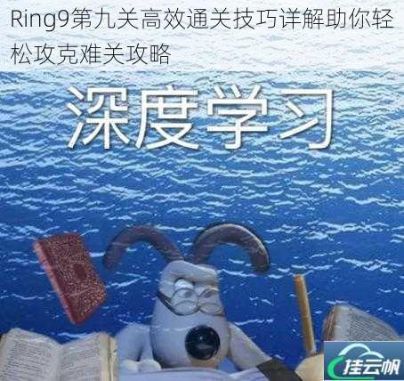Ring9第九关高效通关技巧详解助你轻松攻克难关攻略