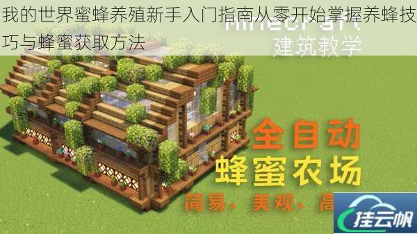 我的世界蜜蜂养殖新手入门指南从零开始掌握养蜂技巧与蜂蜜获取方法