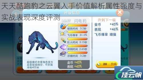 天天酷跑豹之云翼入手价值解析属性强度与实战表现深度评测