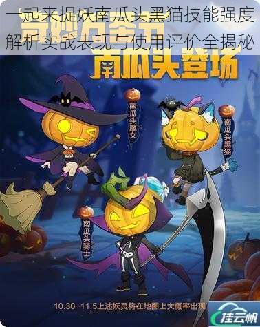 一起来捉妖南瓜头黑猫技能强度解析实战表现与使用评价全揭秘