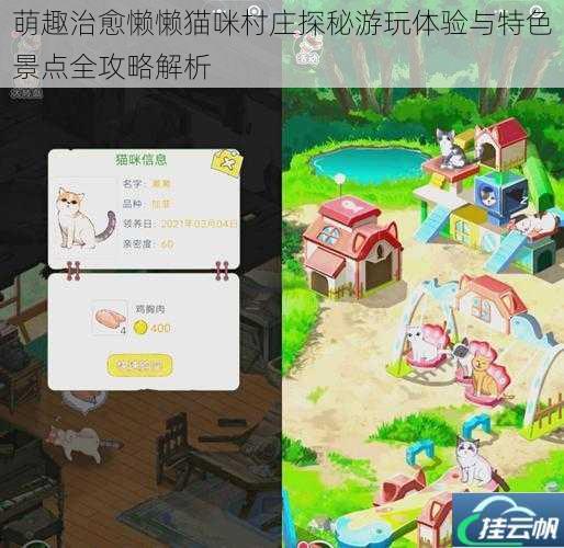 萌趣治愈懒懒猫咪村庄探秘游玩体验与特色景点全攻略解析