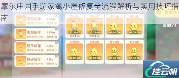 摩尔庄园手游家禽小屋修复全流程解析与实用技巧指南