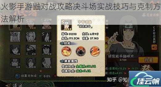 火影手游鼬对战攻略决斗场实战技巧与克制方法解析