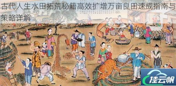 古代人生水田拓荒秘籍高效扩增万亩良田速成指南与策略详解