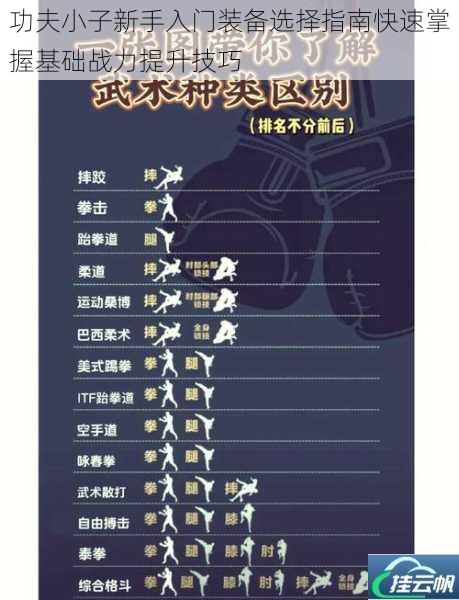 功夫小子新手入门装备选择指南快速掌握基础战力提升技巧