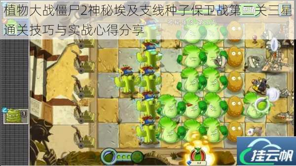 植物大战僵尸2神秘埃及支线种子保卫战第二关三星通关技巧与实战心得分享