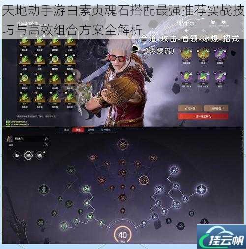 天地劫手游白素贞魂石搭配最强推荐实战技巧与高效组合方案全解析