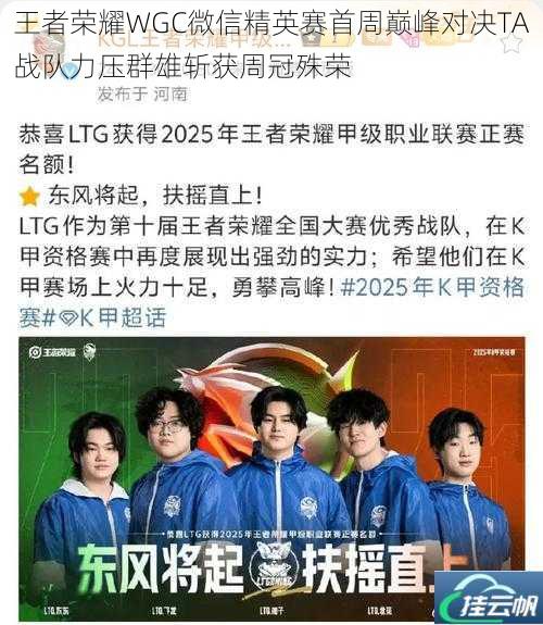 王者荣耀WGC微信精英赛首周巅峰对决TA战队力压群雄斩获周冠殊荣