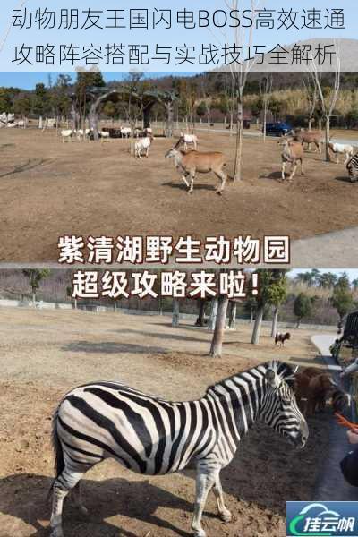 动物朋友王国闪电BOSS高效速通攻略阵容搭配与实战技巧全解析