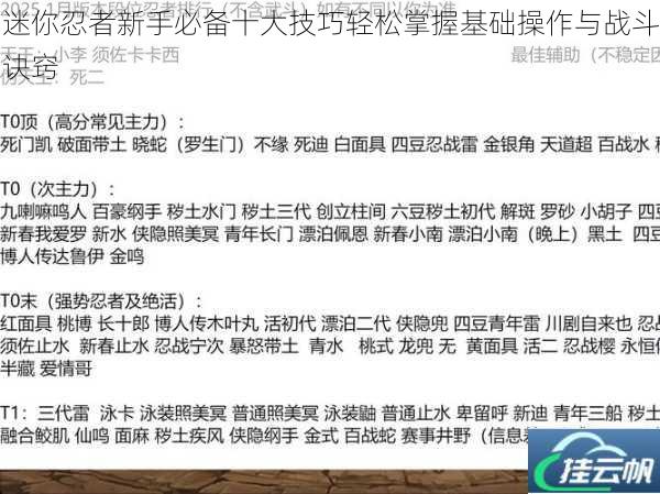 迷你忍者新手必备十大技巧轻松掌握基础操作与战斗诀窍