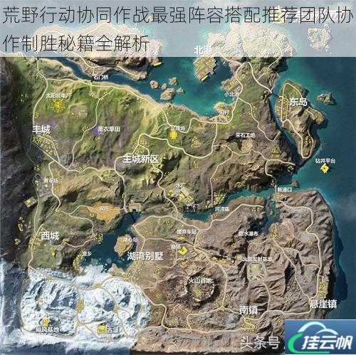 荒野行动协同作战最强阵容搭配推荐团队协作制胜秘籍全解析