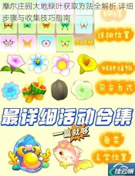 摩尔庄园大地绿叶获取方法全解析 详细步骤与收集技巧指南
