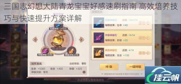 三国志幻想大陆青龙宝宝好感速刷指南 高效培养技巧与快速提升方案详解
