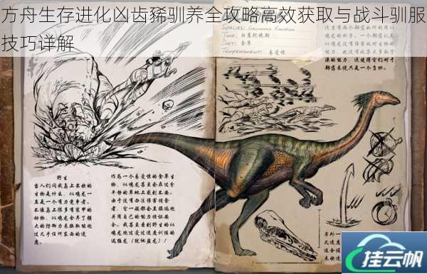 方舟生存进化凶齿豨驯养全攻略高效获取与战斗驯服技巧详解