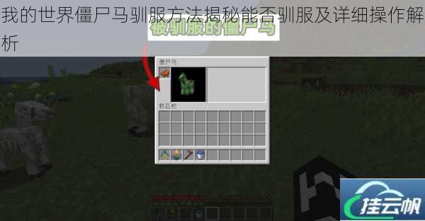 我的世界僵尸马驯服方法揭秘能否驯服及详细操作解析