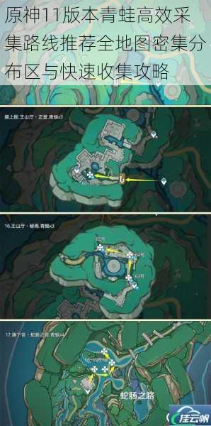原神11版本青蛙高效采集路线推荐全地图密集分布区与快速收集攻略