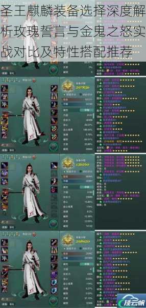 圣王麒麟装备选择深度解析玫瑰誓言与金鬼之怒实战对比及特性搭配推荐