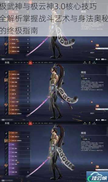 极武神与极云神3.0核心技巧全解析掌握战斗艺术与身法奥秘的终极指南