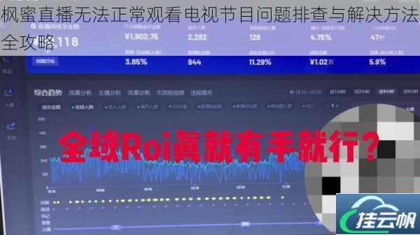 枫蜜直播无法正常观看电视节目问题排查与解决方法全攻略