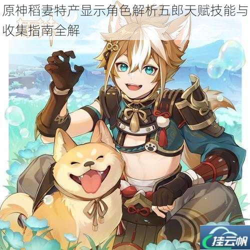 原神稻妻特产显示角色解析五郎天赋技能与收集指南全解