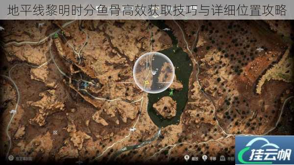 地平线黎明时分鱼骨高效获取技巧与详细位置攻略