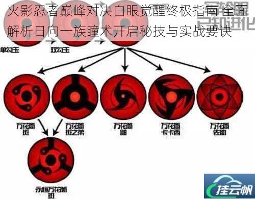 火影忍者巅峰对决白眼觉醒终极指南 全面解析日向一族瞳术开启秘技与实战要诀
