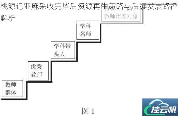 桃源记亚麻采收完毕后资源再生策略与后续发展路径解析