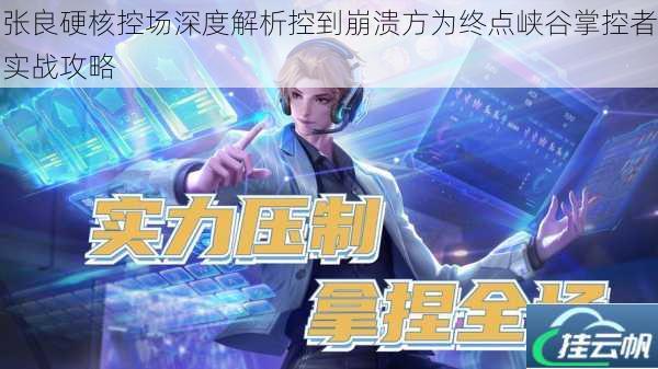 张良硬核控场深度解析控到崩溃方为终点峡谷掌控者实战攻略