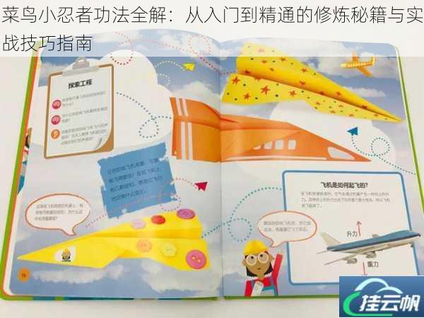 菜鸟小忍者功法全解:从入门到精通的修炼秘籍与实战技巧指南