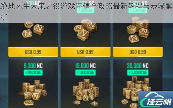绝地求生未来之役游戏充值全攻略最新教程与步骤解析