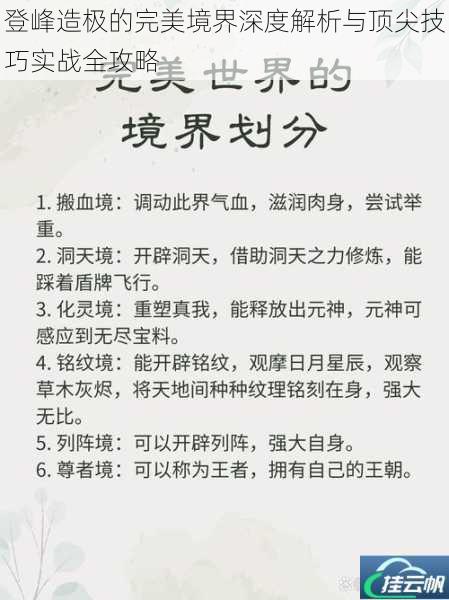 登峰造极的完美境界深度解析与顶尖技巧实战全攻略