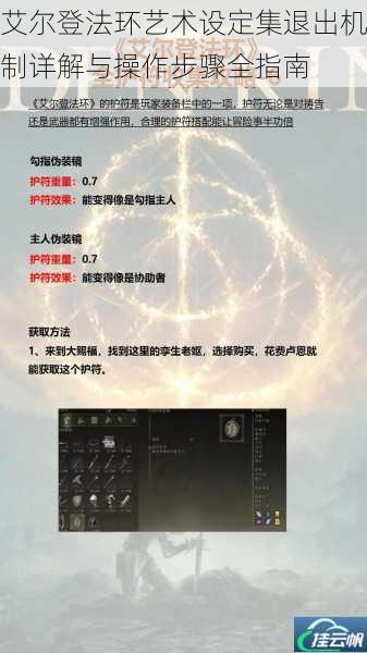 艾尔登法环艺术设定集退出机制详解与操作步骤全指南