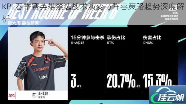 KPL春季赛英雄禁选战术演变与阵容策略趋势深度解析