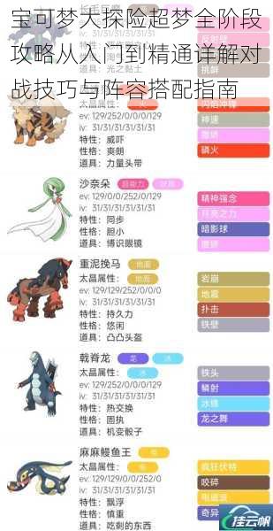 宝可梦大探险超梦全阶段攻略从入门到精通详解对战技巧与阵容搭配指南