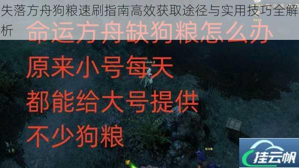 失落方舟狗粮速刷指南高效获取途径与实用技巧全解析