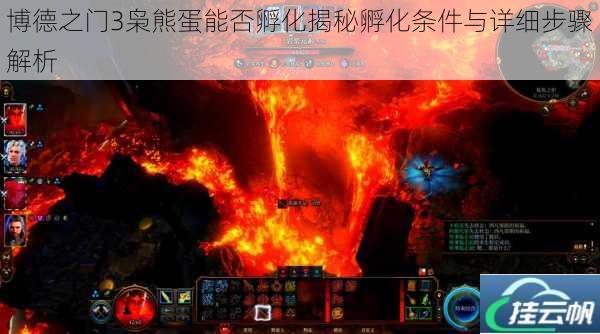 博德之门3枭熊蛋能否孵化揭秘孵化条件与详细步骤解析