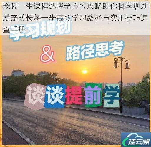 宠我一生课程选择全方位攻略助你科学规划爱宠成长每一步高效学习路径与实用技巧速查手册