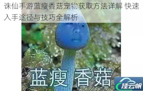 诛仙手游蓝瘦香菇宠物获取方法详解 快速入手途径与技巧全解析