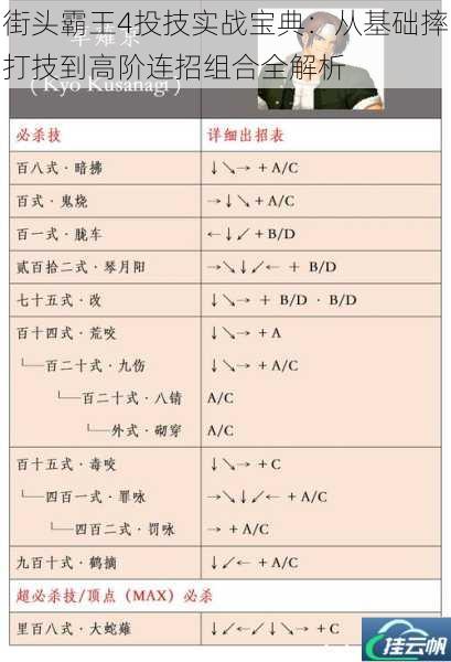 街头霸王4投技实战宝典:从基础摔打技到高阶连招组合全解析