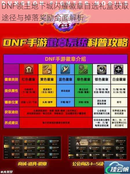 DNF领主地下城闪耀徽章自选礼盒获取途径与掉落奖励全面解析