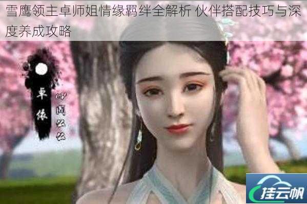 雪鹰领主卓师姐情缘羁绊全解析 伙伴搭配技巧与深度养成攻略