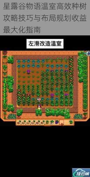 星露谷物语温室高效种树攻略技巧与布局规划收益最大化指南
