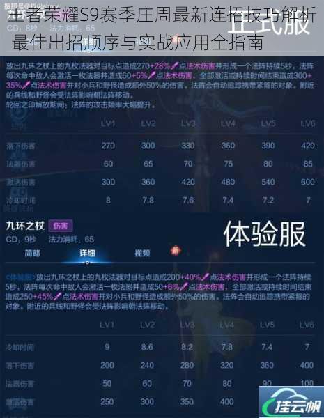 王者荣耀S9赛季庄周最新连招技巧解析 最佳出招顺序与实战应用全指南