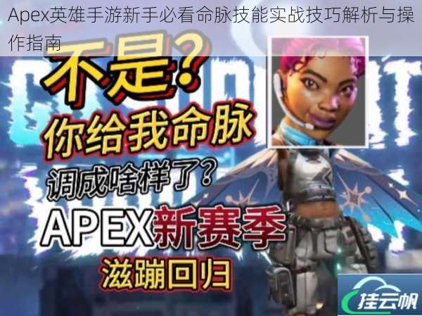 Apex英雄手游新手必看命脉技能实战技巧解析与操作指南