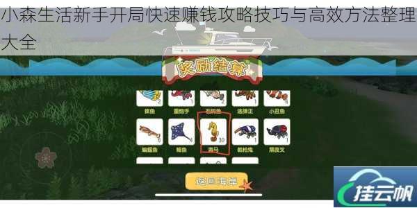 小森生活新手开局快速赚钱攻略技巧与高效方法整理大全