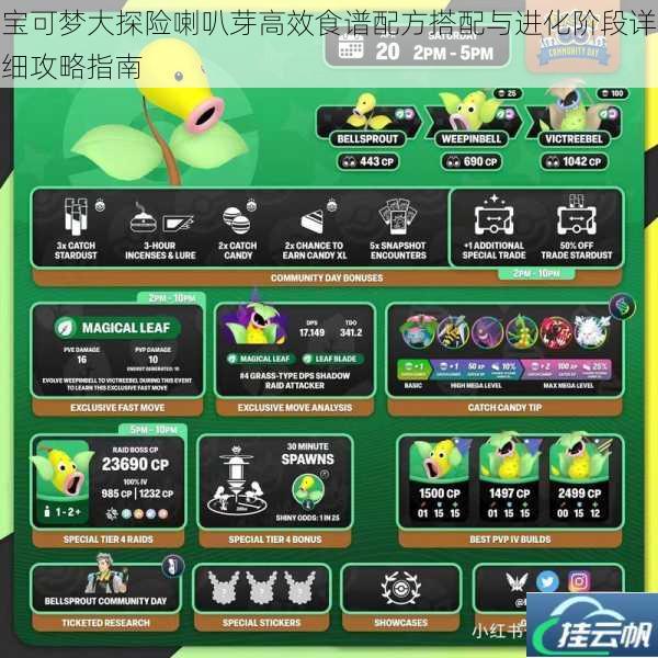 宝可梦大探险喇叭芽高效食谱配方搭配与进化阶段详细攻略指南