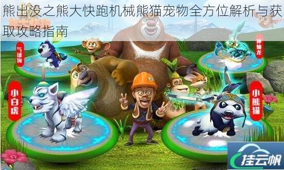 熊出没之熊大快跑机械熊猫宠物全方位解析与获取攻略指南