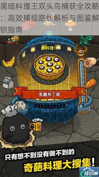 黑暗料理王双头鸟捕获全攻略：高效捕捉路线解析与图鉴解锁指南