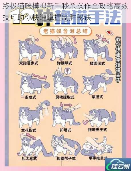 终极猫咪模拟新手秒杀操作全攻略高效技巧助你快速掌握制胜秘诀
