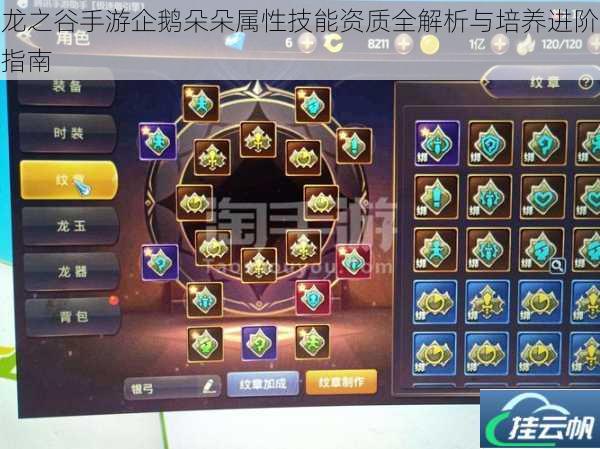 龙之谷手游企鹅朵朵属性技能资质全解析与培养进阶指南